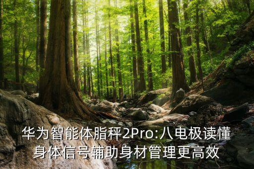 华为智能体脂秤2Pro:八电极读懂身体信号辅助身材管理更高效