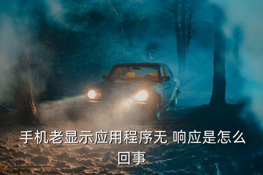 手机系统软件没有响应,w10系统软件无响应怎么解决