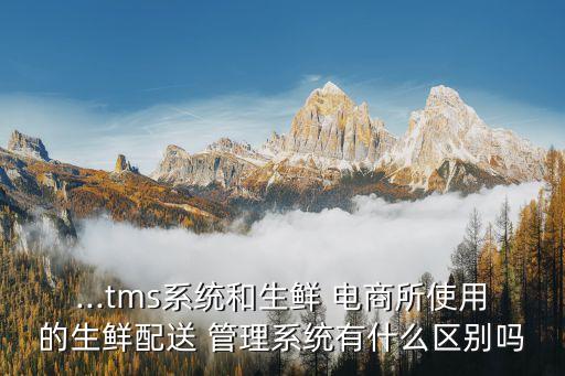 电商仓库管理系统软件,免费的仓库管理系统软件哪个好