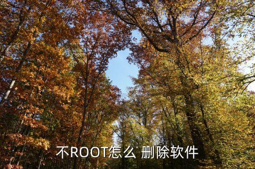 没有root怎么删除系统软件,手机root后如何删除系统软件