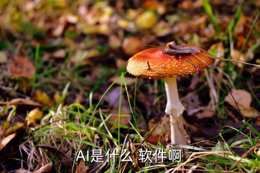 AI是什么 软件啊