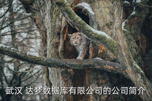 武汉 达梦数据库有限公司的公司简介