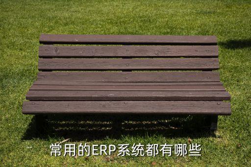 常用的ERP系统都有哪些
