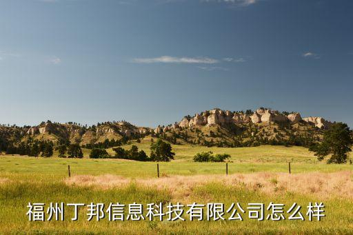 福州丁邦信息科技有限公司怎么样