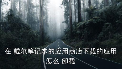 戴尔电脑怎么卸载系统软件,不小心卸载了电脑的系统软件