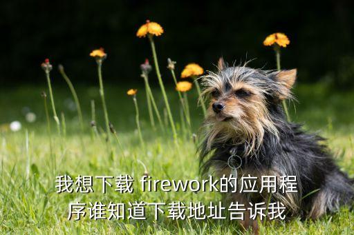 我想下载 firework的应用程序谁知道下载地址告诉我