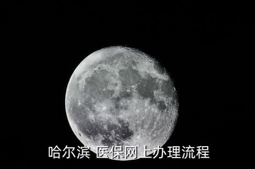  哈尔滨 医保网上办理流程