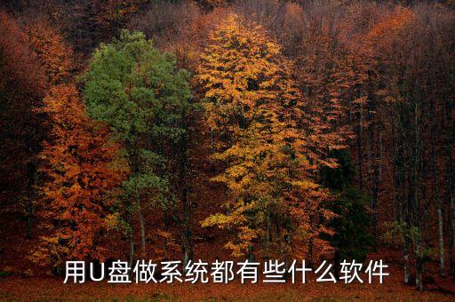 用U盘做系统都有些什么软件