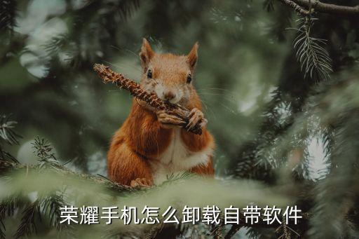  荣耀手机怎么卸载自带软件