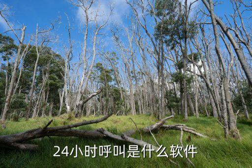 24小时呼叫是什么软件