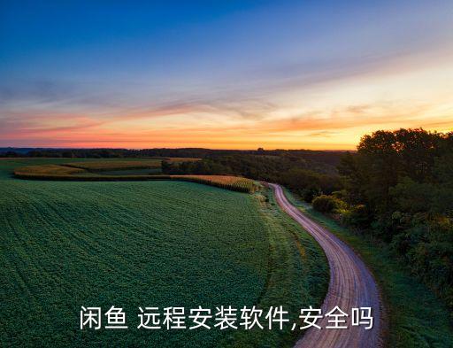 闲鱼 远程安装软件,安全吗