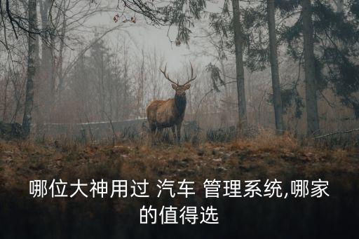 哪位大神用过 汽车 管理系统,哪家的值得选