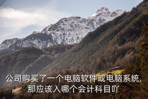 公司购买了一个电脑软件或电脑系统,那应该入哪个会计科目吖