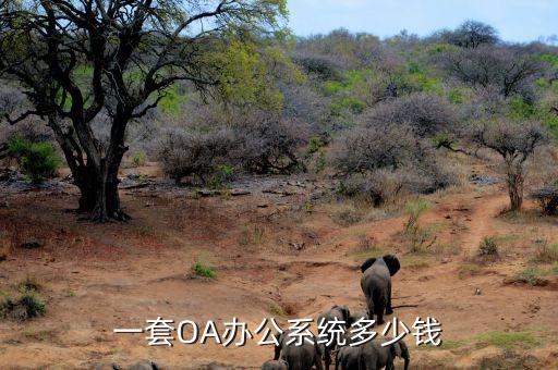 一套OA办公系统多少钱