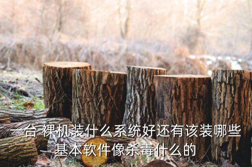 一台 裸机装什么系统好还有该装哪些基本软件像杀毒什么的