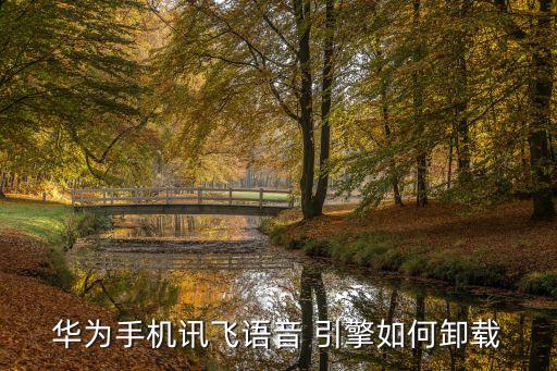 华为手机讯飞语音 引擎如何卸载
