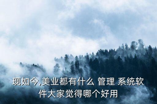 现如今,美业都有什么 管理 系统软件大家觉得哪个好用