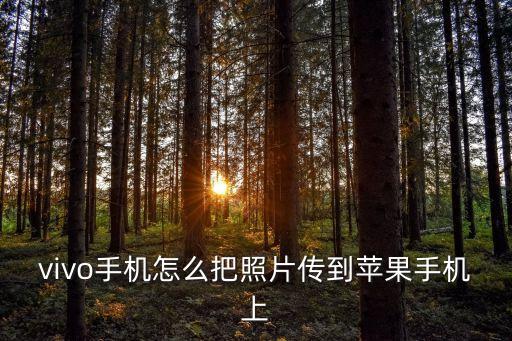 图片互传系统软件免费下载