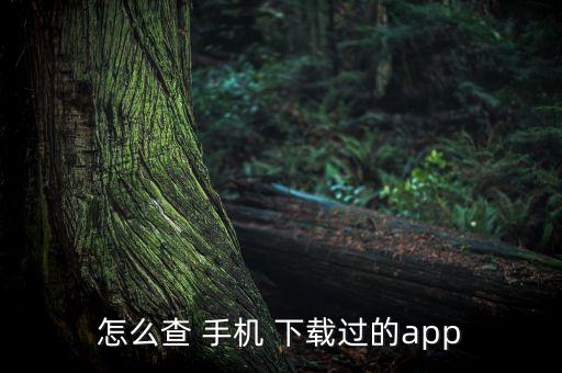 怎么查 手机 下载过的app