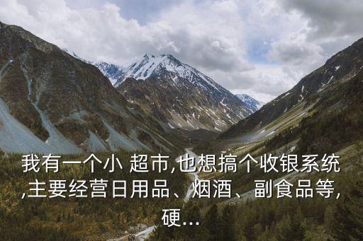 超市消费动态查询系统软件