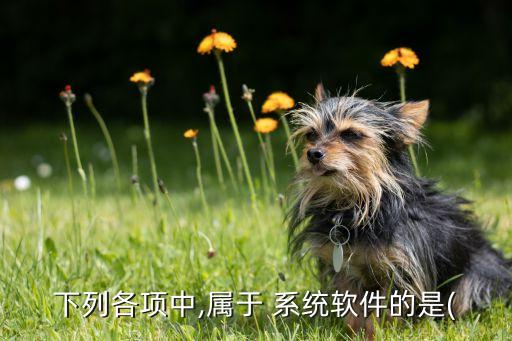 wps属于应用软件还是系统软件,WPS 2003属于应用软件吗
