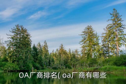 美国企业oa系统软件,手机怎么安装oa系统软件