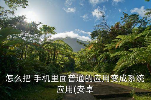怎么把 手机里面普通的应用变成系统应用(安卓