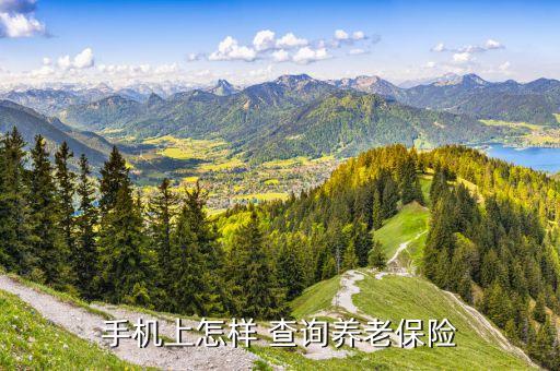 手机上怎样 查询养老保险