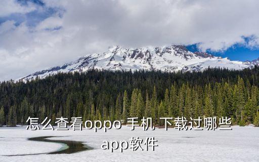 怎么查看oppo 手机 下载过哪些app软件