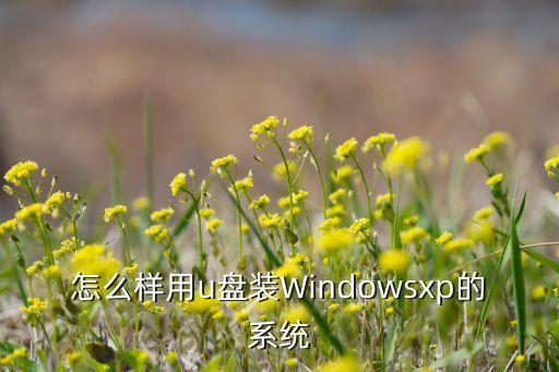 怎么样用u盘装Windowsxp的系统