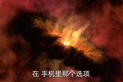 在 手机里那个选项
