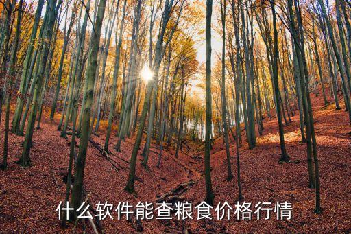 粮油系统软件哪个好用,粮油店收银机系统软件