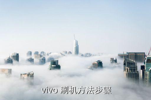  vivo 刷机方法步骤