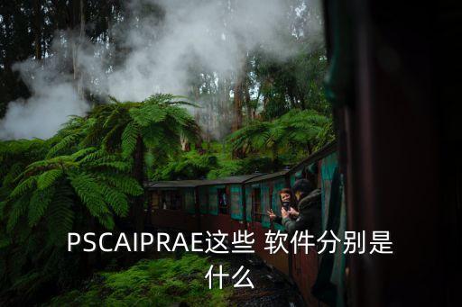 PSCAIPRAE这些 软件分别是什么
