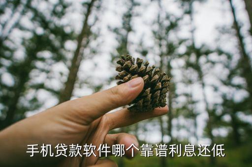 小额信贷管理系统软件