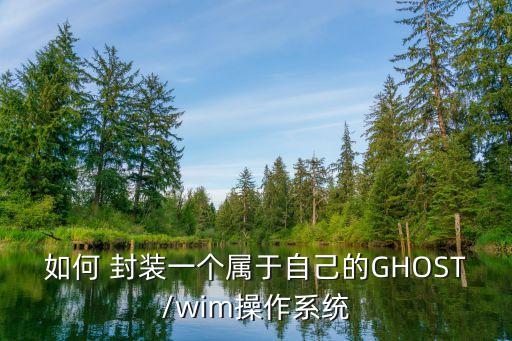 精简封装ghost系统软件