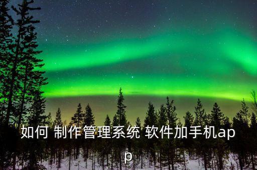 如何 制作管理系统 软件加手机app