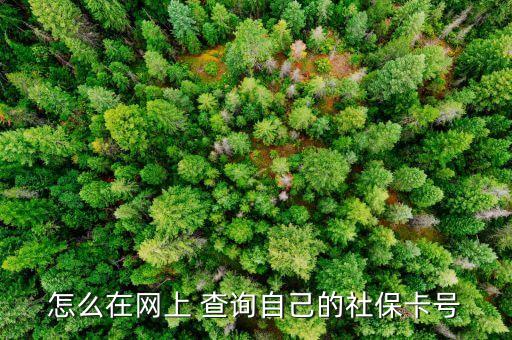 宣城触摸屏查询系统软件,宣城职业技术学院成绩查询系统