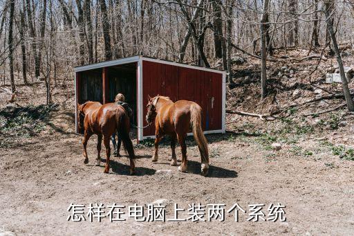 怎么启动多个系统软件管理