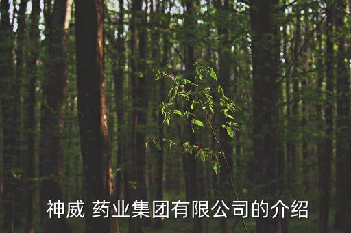  神威 药业集团有限公司的介绍