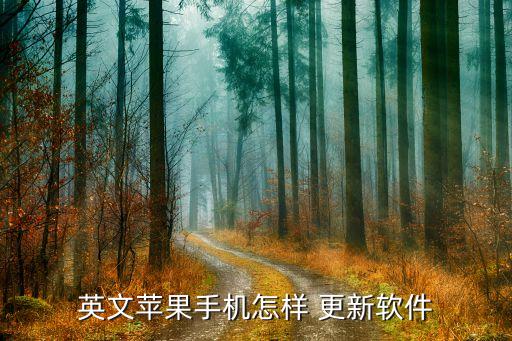 英文苹果手机怎样 更新软件