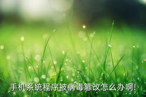 手机系统程序被病毒篡改怎么办啊!