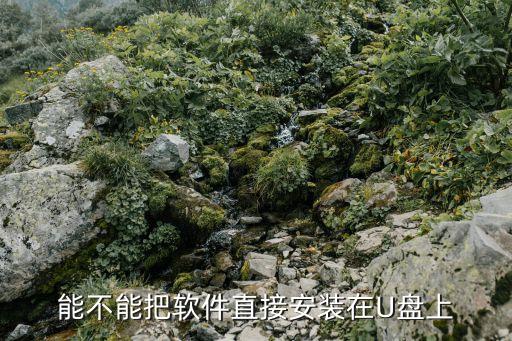 能不能把软件直接安装在U盘上