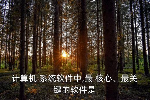计算机 系统软件中,最 核心、最关键的软件是