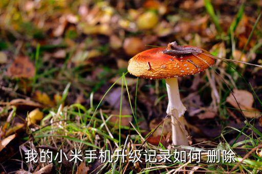 我的小米手机升级记录如何 删除