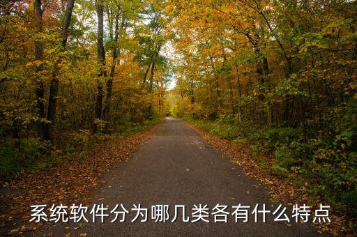  系统软件分为哪几类各有什么特点