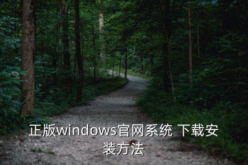 正版windows官网系统 下载安装方法