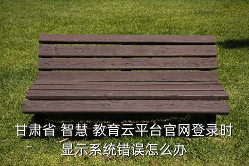 甘肃省 智慧 教育云平台官网登录时显示系统错误怎么办