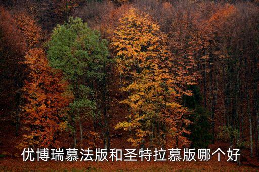  优博瑞慕法版和圣特拉慕版哪个好
