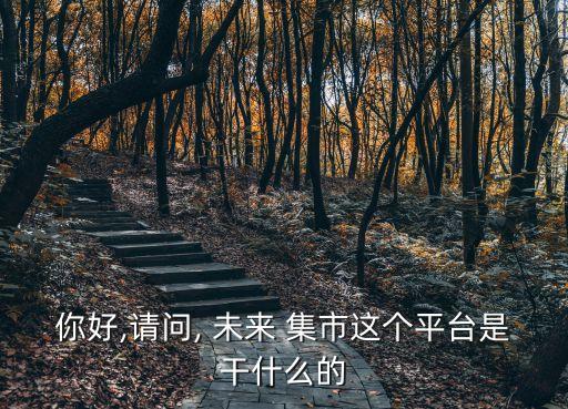 未来集市系统软件